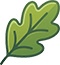 Credit Leaf